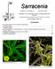 Sarracenia. Contents. Newsletter of the Wildflower Society of Newfoundland and Labrador. Potentilla simplex (p.