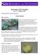 Horticulture 2013 Newsletter No. 31 August 6, 2013