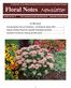 Floral Notes Newsletter