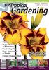 Wattles Bulbs, Tubers & Rhizomes Vanishing Bees Figs, Tamarinds & Garlic Create Organic Soil