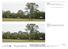 FINAL. Appendix A: Figure Viewpoint 1 View from Nurragingy Reserve (North) Proposed Modification to RDC, Rooty Hill