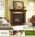 6000 Series. Direct Vent Gas Fireplaces