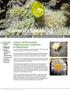 Cereusly Speaking. Cactus and Succulent Society of Alberta. June 2015 Vol. 8 Issue 2. In this issue: albertacactusandsucculent.org