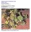 Phedimus, succulents for most gardens part 1 (engl) Phedimus - Genus Écrit par Ray Stephenson Vendredi, 13 Février :54