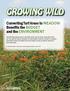 GROWING WILD. Converting Turf Areas to Meadow Benefits the Budget and the Environment