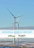 WINDFALL ANNUAL REPORT