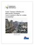 Public Transport, Mobility and Metropolitan Strategies: how to transform cities for a better accessibility?