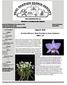 Orchids Alfresco: Best Orchids to Grow Outdoors Peter T. Lin