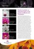 Newsletter. Relative humidity: an important factor in the growth of Miltonia and Cymbidium. Phalaenopsis: Production advice,