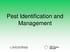 Pest Identification and Management