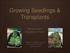Growing Seedlings & Transplants
