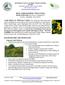 BEST MANAGEMENT PRACTICES Scotch Broom (Cytisus scoparius) (Family Fabaceae Pea Family)