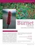 Burnet. Seed Germination of. Sanguisorba spp. Patricia S Holloway and Grant EM Matheke REFEREED RESEARCH ARTICLE