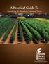 A Practical Guide To. Handling & Growing Bareroot Trees. Wholesale Grower of Bareroot Shade & Flowering Trees