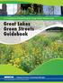 Great Lakes Green Streets Guidebook
