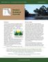 Florida s Ecological Network