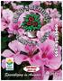 Fall/Winter Specializing in Annuals since 1987 Specializing in