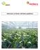 Anthurium cut flower cultivation guidelines