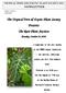 The Tropical Fern & Exotic Plant Society Presents The Rare Plant Auction