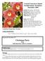 Central Vancouver Island Orchid Society Newsletter December 2009