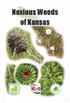 Noxious Weeds of Kansas