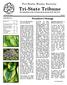 Tri-State Tribune The Newsletter of the Tri-State Hosta Society of NY, NJ, & CT