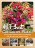 Container Plans! Attract more hummingbirds & butterflies and decorate your outdoor space.