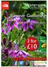 3 for. Summer Gardening Top tips for a great looking garden in August (see page 4) Waterside