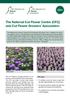 The National Cut Flower Centre (CFC) and Cut Flower Growers Association