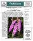Orchidacea. Speaker for September 13, 2004 Roy Tokunaga of H & R Nurseries, Hawaii