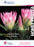 Product: Honey Protea, Repens Botanical name: Protea repens. Quality specifications for Australian wildflowers