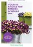 YOUR #1 CHOICE FOR PANSIES & VIOLAS