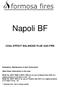 Napoli BF COAL EFFECT BALANCED FLUE GAS FIRE