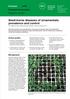 Seed-borne diseases of ornamentals: prevalence and control