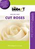 cut roses IPM strategy for cut roses Crop info sheet When using chemicals, please check their compatibility with our