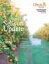 Season Update. In this issue: October Western Australia 3 Queensland 6 Riverland, Murray Valley and Riverina 8 Contributors 10.