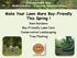 Make Your Lawn More Bay-Friendly This Spring! Rain Gardens Bay-Friendly Lawn Care Conservation Landscaping Tree Planting