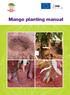 Mango planting manual