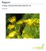 Ragwort. Ecology Technical Information Note No. 05. October 2011