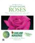 Proudly presenting our Quality Hand-Potted ROSES