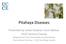 Pitahaya Diseases. Presented by James Downer, Farm Advisor UCCE Ventura County