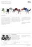 Eames Plastic Chair. Charles & Ray Eames, 1950