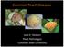 Common Peach Diseases. Jane E. Stewart Plant Pathologist Colorado State University