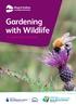 Gardening with Wildlife. An organic gardening guide