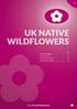 UK NATIVE WILDFLOWERS