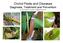 Orchid Pests and Diseases Diagnosis, Treatment and Prevention by Sue Bottom,