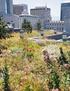 species composition changes in a ROOFTOP Implications for designing successful mixtures GRASS AND WILDFLOWER MEADOW