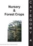 C Nursery & Forest Crops A T E G O R Y. Pesticide Safety Education Program, Ohio State University Extension