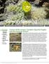 Cereusly Speaking. Cactus and Succulent Society of Alberta. September 2015 Vol. 8 Issue 3. In this issue: albertacactusandsucculent.