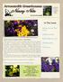 In This Issue. Spring Care for Your Lawn. Hepatica nobilis. What's New for Dividing Lilies. To Do List